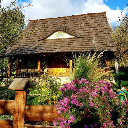 Villa Jabloniowy Sad Kalwaria Paclawska Esterno foto