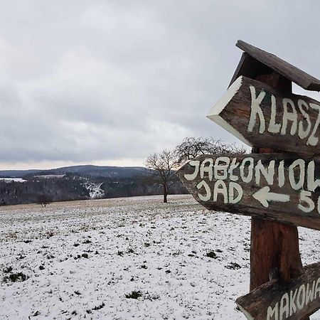 Villa Jabloniowy Sad Kalwaria Paclawska Esterno foto