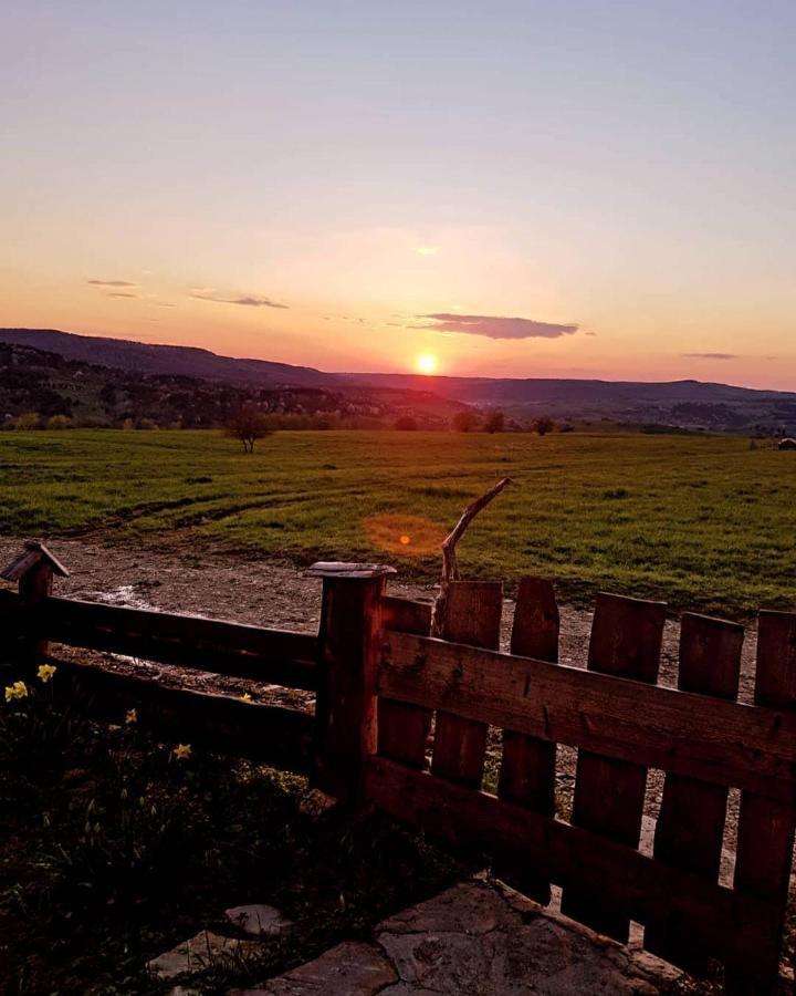 Villa Jabloniowy Sad Kalwaria Paclawska Esterno foto