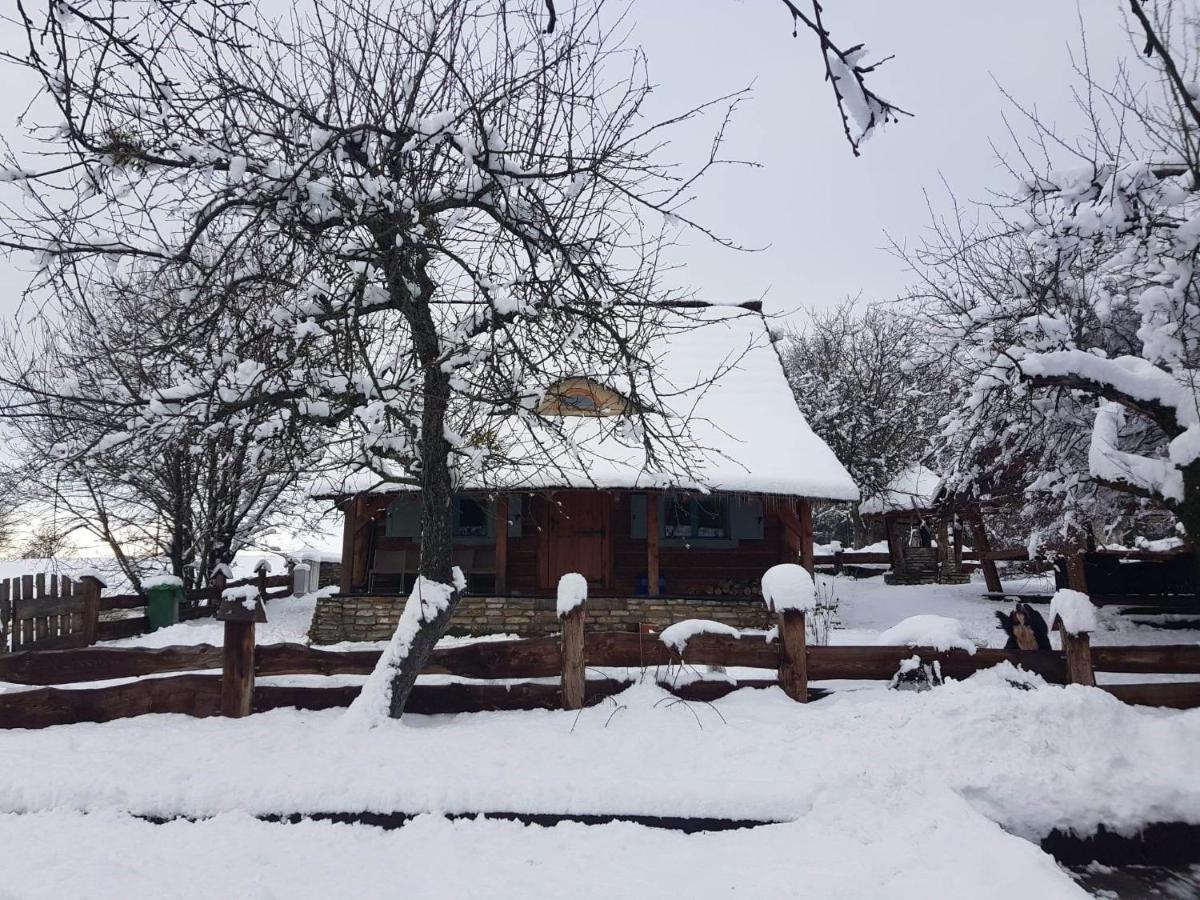 Villa Jabloniowy Sad Kalwaria Paclawska Esterno foto