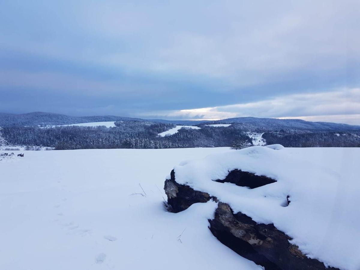 Villa Jabloniowy Sad Kalwaria Paclawska Esterno foto