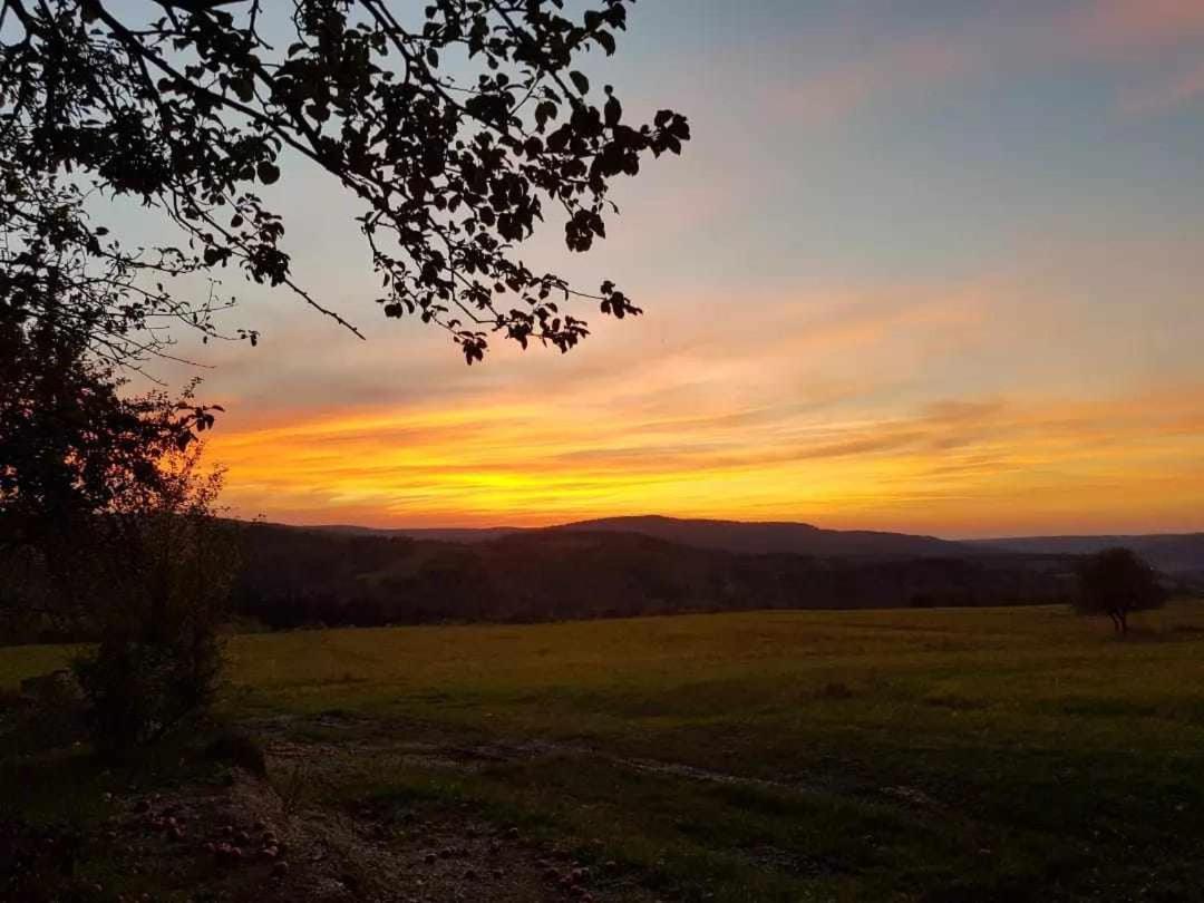Villa Jabloniowy Sad Kalwaria Paclawska Esterno foto
