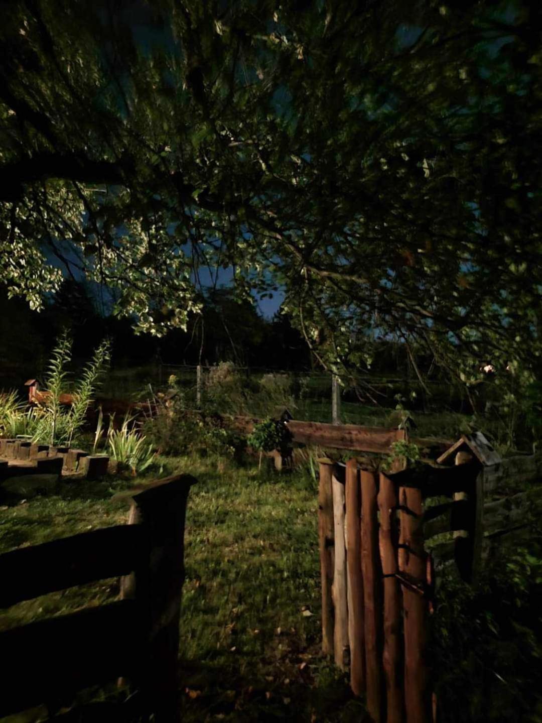 Villa Jabloniowy Sad Kalwaria Paclawska Esterno foto