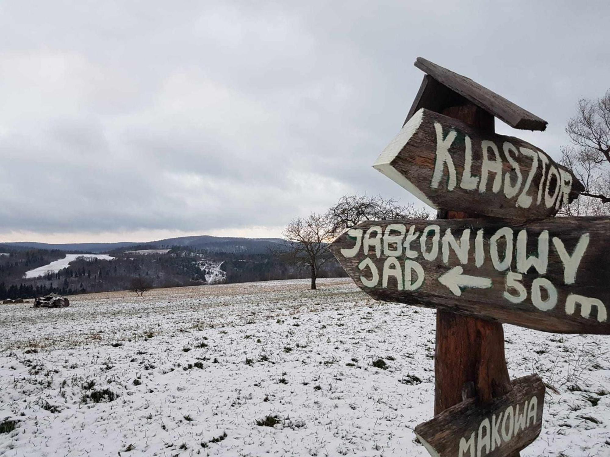 Villa Jabloniowy Sad Kalwaria Paclawska Esterno foto