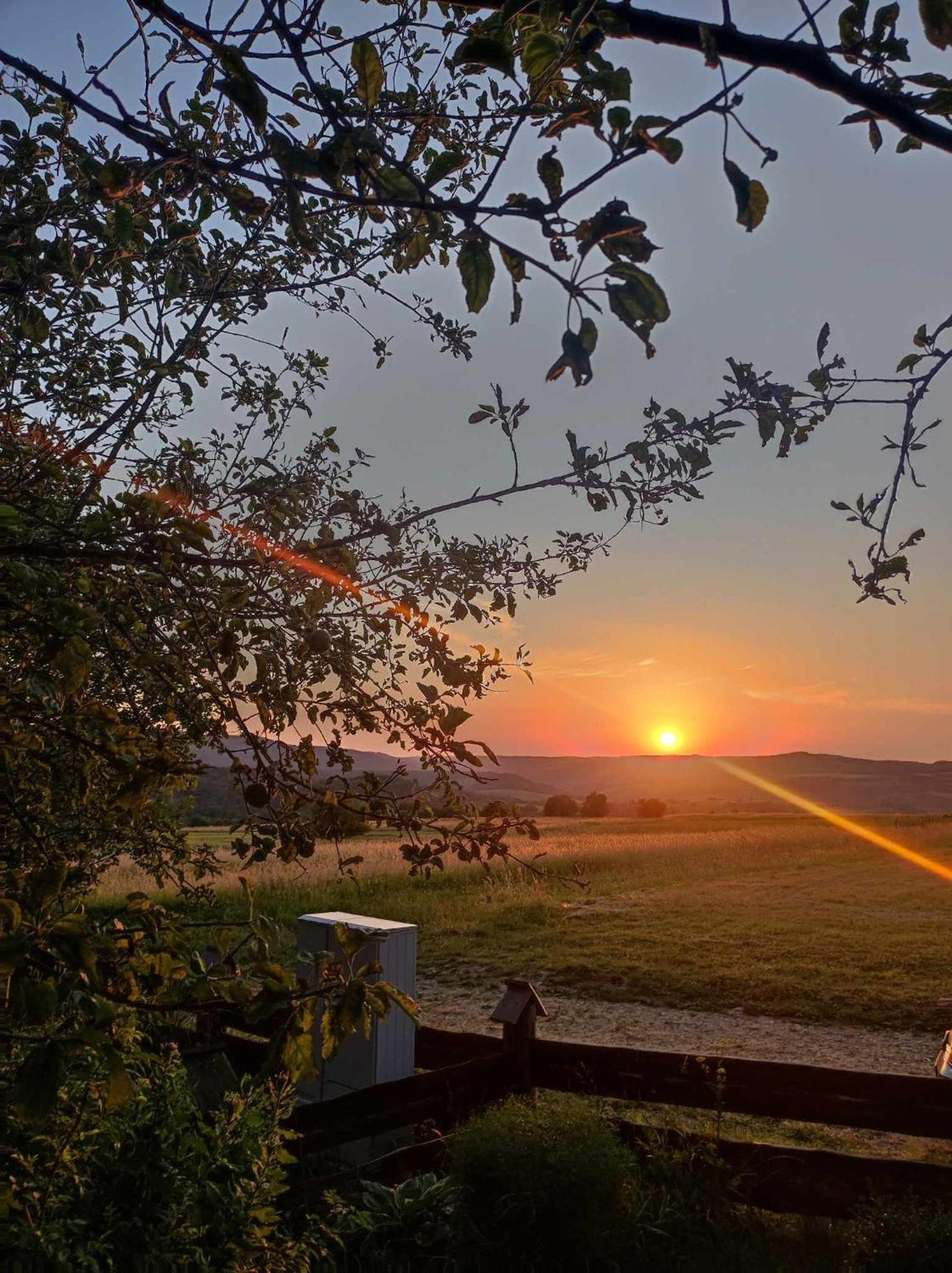 Villa Jabloniowy Sad Kalwaria Paclawska Esterno foto